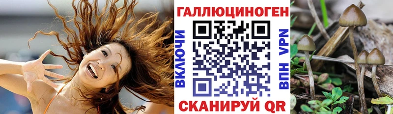 Псилоцибиновые грибы Magic Shrooms  закладка  Купино 